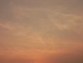 /album/nature-/sam-6198-jpg/