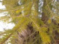 /album/nature-/sam-5946-jpg/
